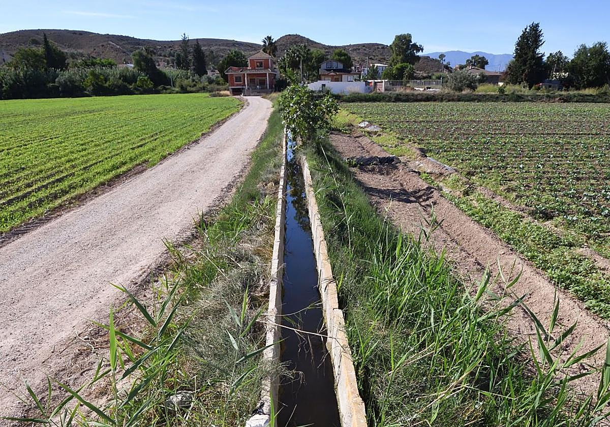 Acequia de riego en la huerta de la Ribera de Molina.