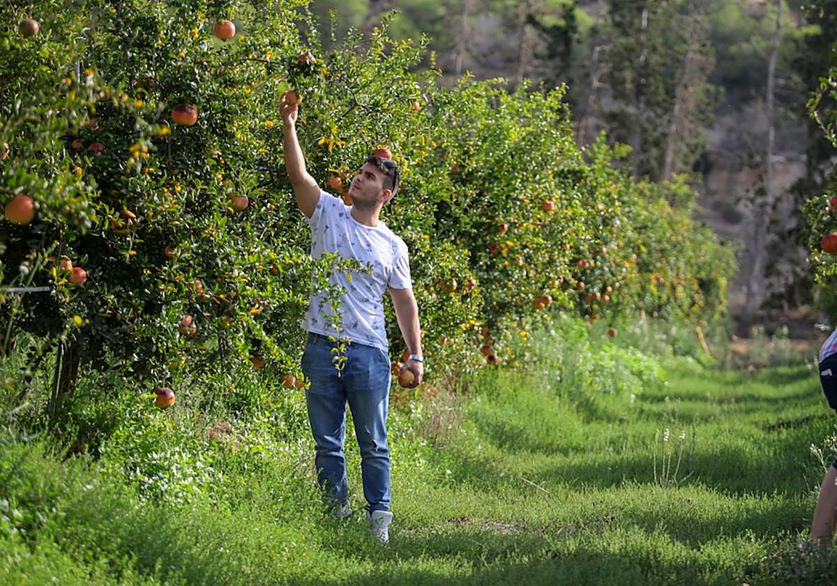 Un joven agricultor en una explotación agrícola, en una imagen de archivo.