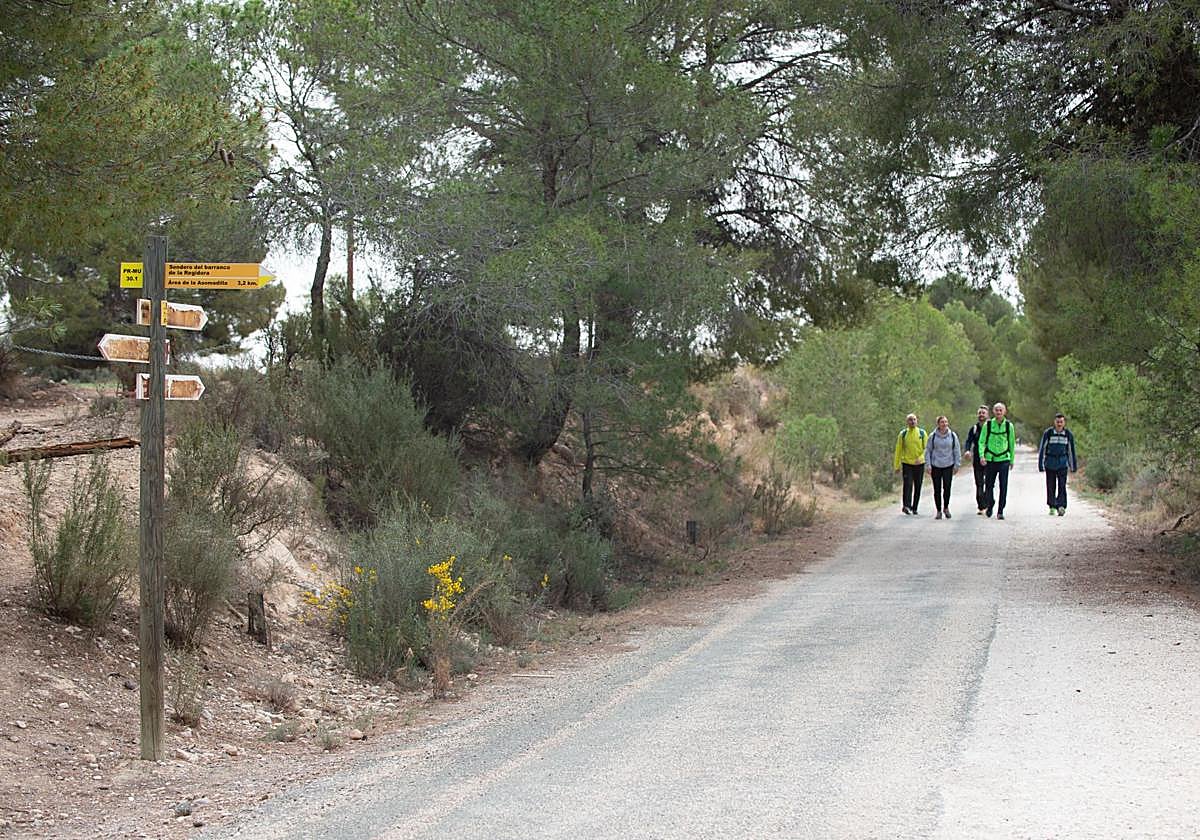 Imagen de archivo de un tramo del Camino de Levante.
