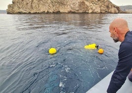 Un técnico supervisa la instalación de uno de los hidrófonos por un submarinista en Escombreras.