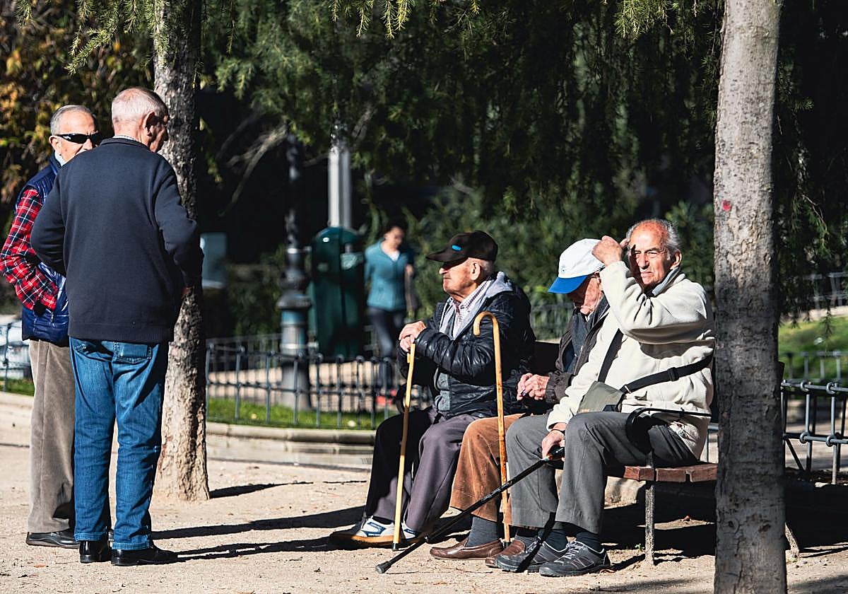 Un grupo de mayores en un parque, en una imagen de archivo.