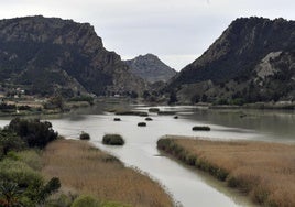 Embalse del Azud de Ojós, en el municipio de Blanca.