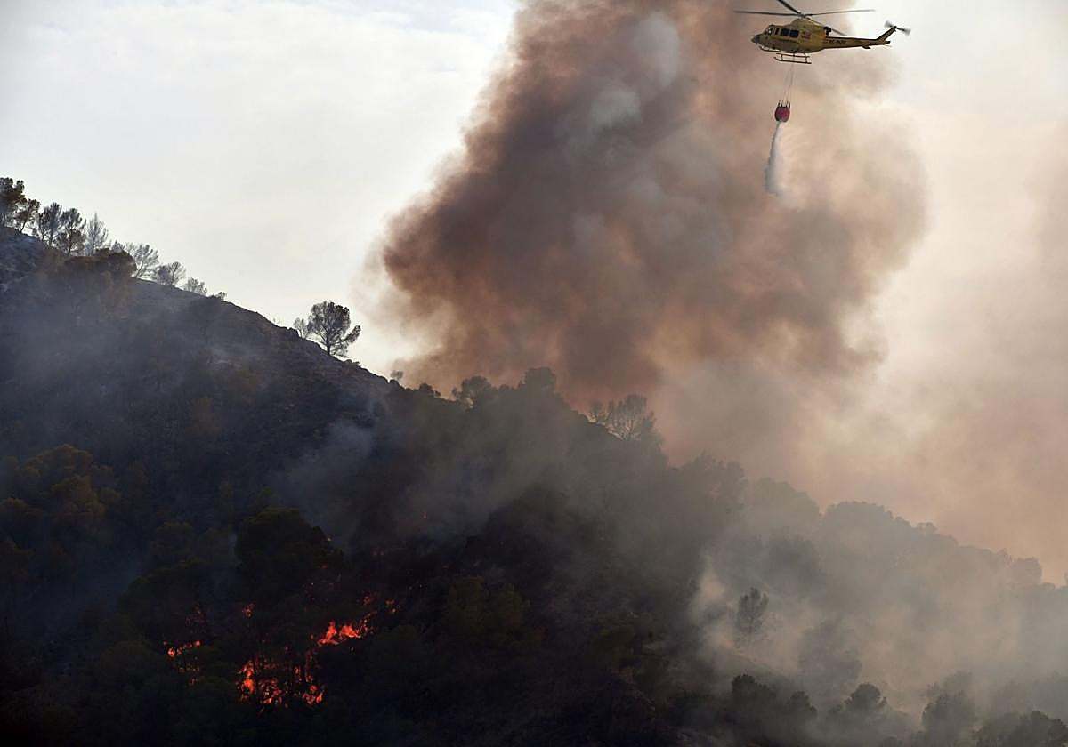 Las imágenes de agosto de 2024 en la Región de Murcia