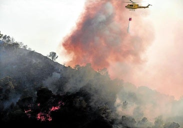 AGOSTO. Alarma vecinal por un incendio en El Valle