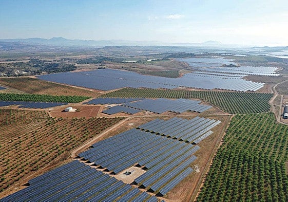 La macroplanta solar de Mula, en una imagen de archivo.