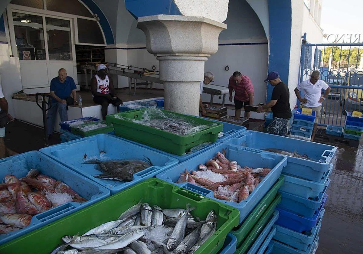 Varios pescadores preparan las cajas de pescado en una imagen de archivo.
