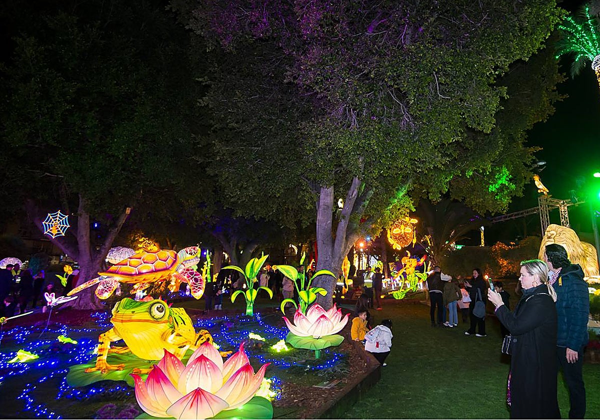 Un detalle de Lucidum, el jardín bioluminiscente de la plaza Circular de Murcia, novedad en la programación de este año.