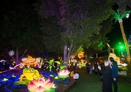 Un detalle de Lucidum, el jardín bioluminiscente de la plaza Circular de Murcia, novedad en la programación de este año.