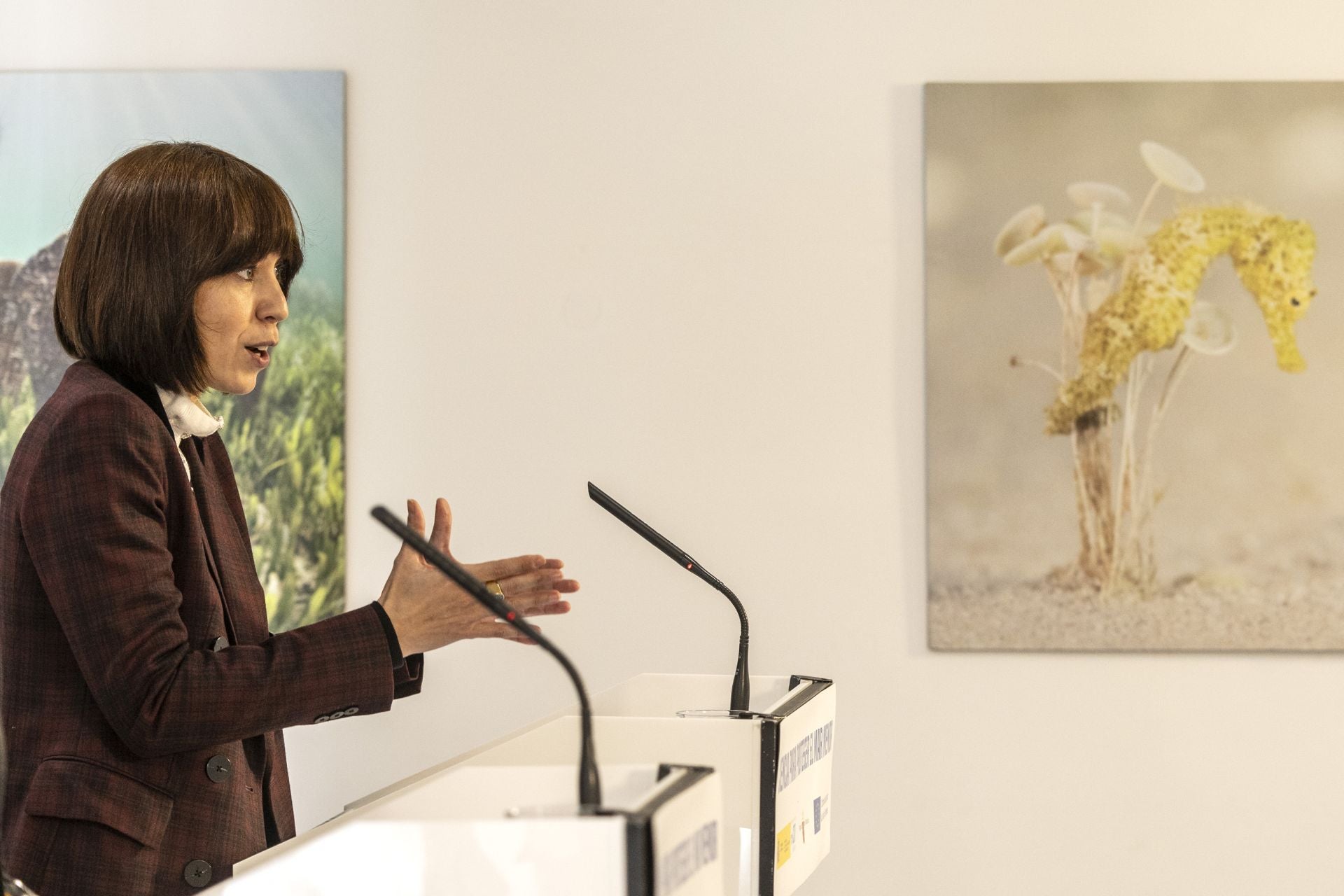 La visita de la ministra Diana Morant a Cartagena, en imágenes