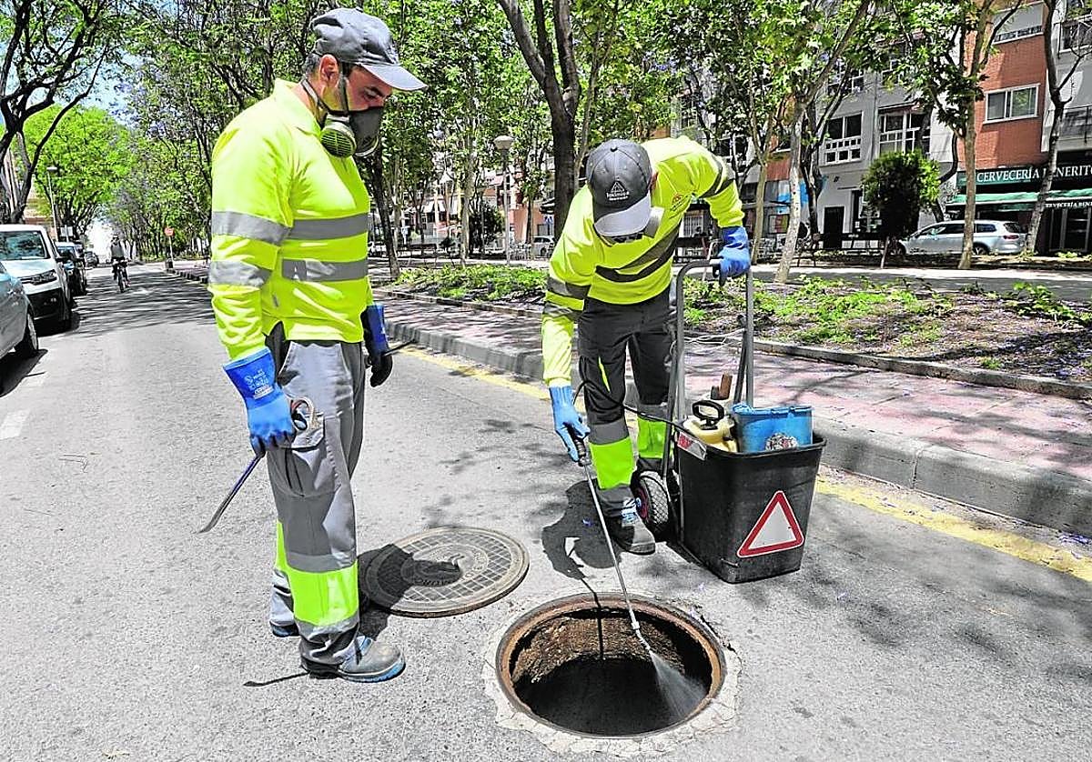 Imagen de archivo de dos técnicos fumigando en Murcia.