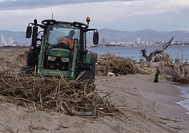 Un tractor limpia una playa de Valencia tras la dana en una imagen de archivo.