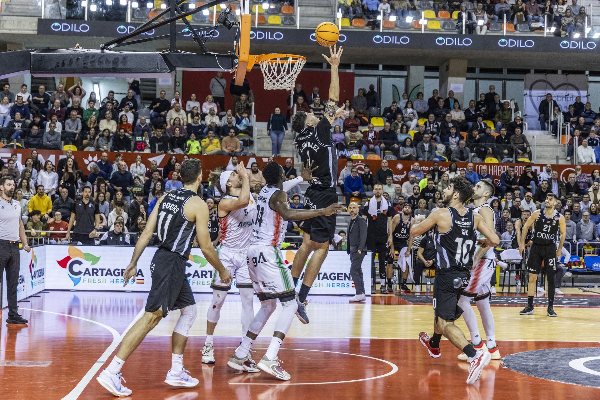 Las imágenes de la victoria del Cebé ante el Cantabria (87-78)