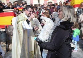 La bendición de animales en el barrio de San Antón de Cartagena, en imágenes