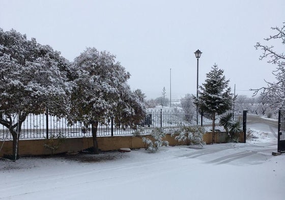 El Campo de San Juan, este viernes, nevado.