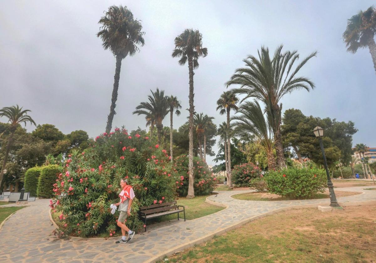 Un hombre pasea por el parque de Doña Sinforosa en una tarde de verano.