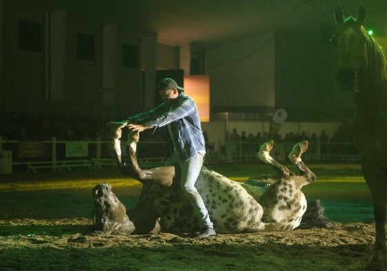 Espectáculo de Santi Serra con un caballo.