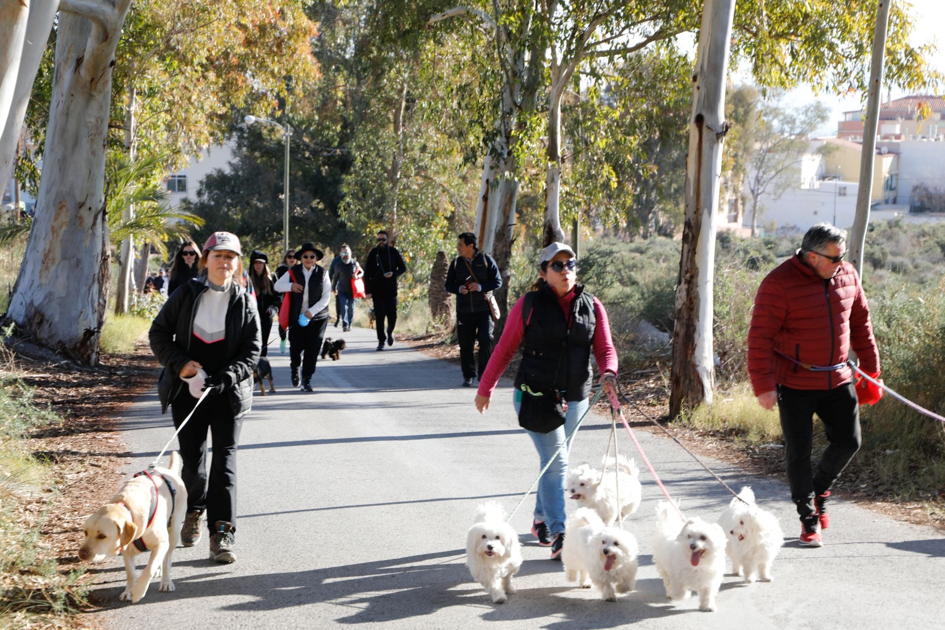 Ruta canina al castillo de Lorca por San Antón