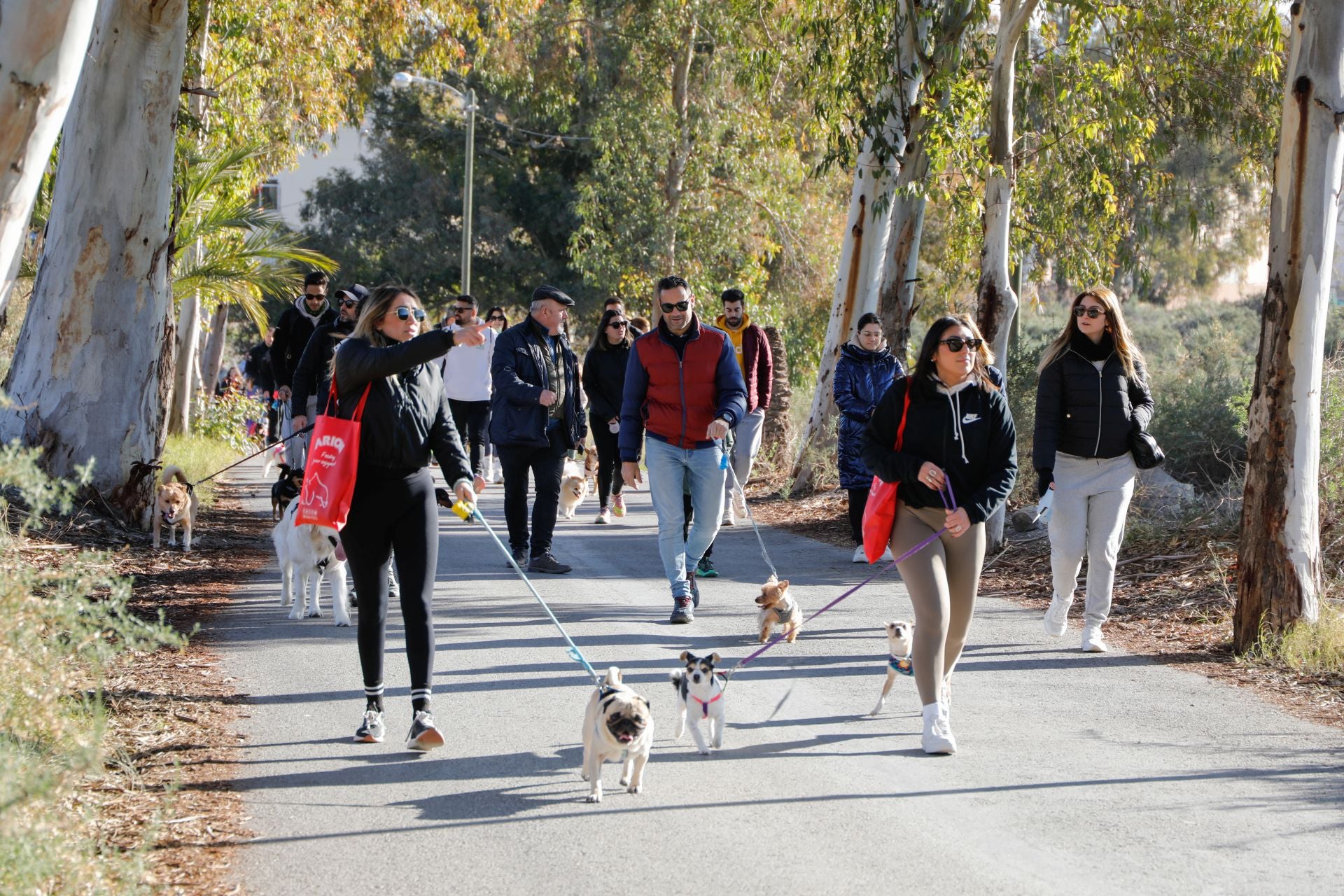 Ruta canina al castillo de Lorca por San Antón