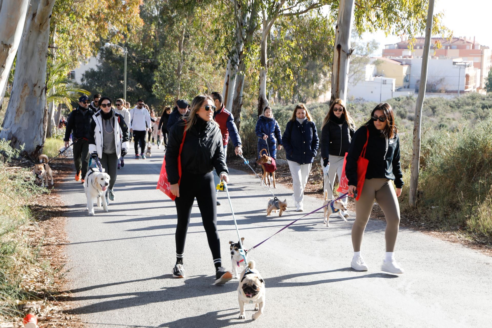 Ruta canina al castillo de Lorca por San Antón