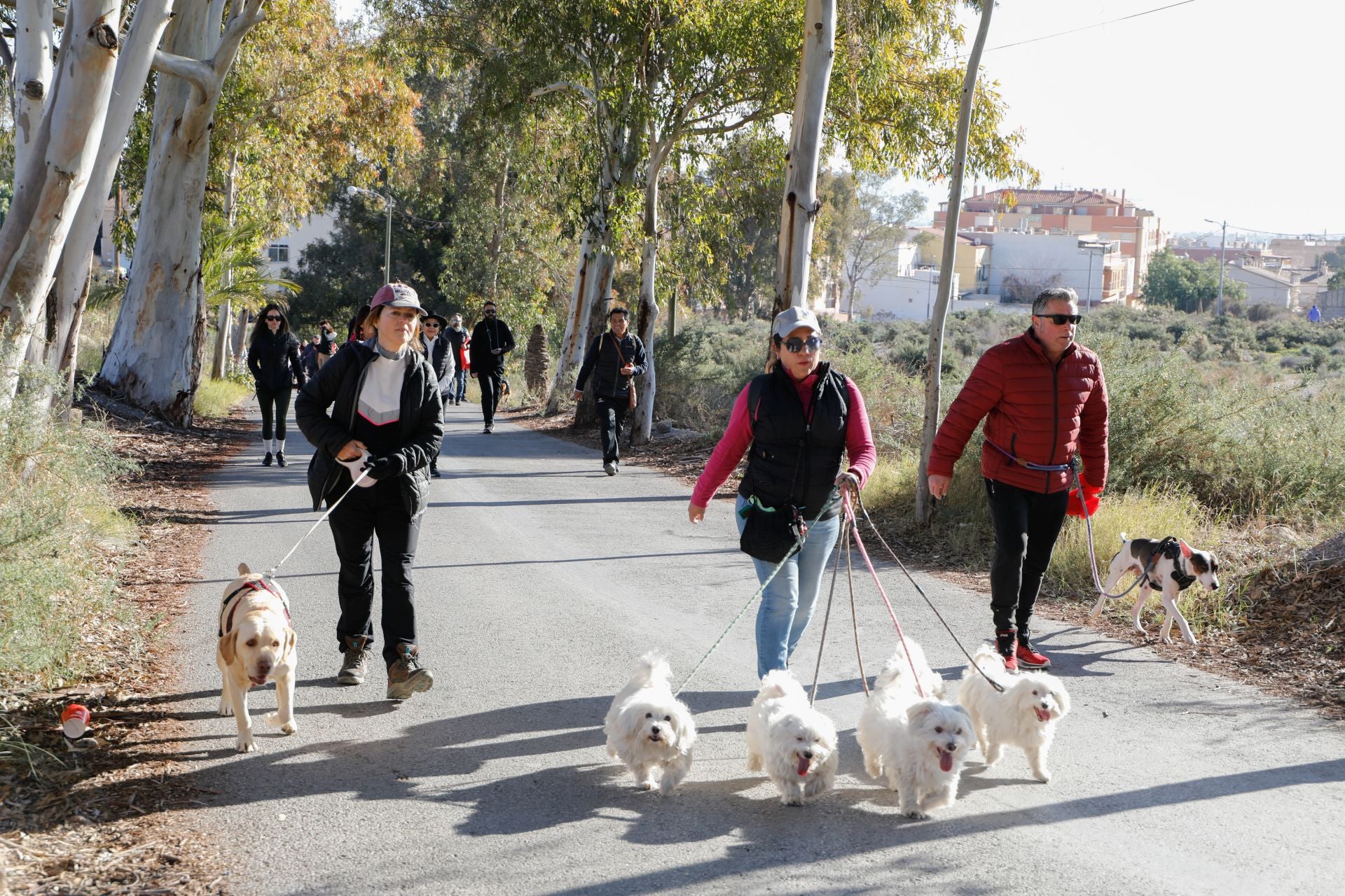 Ruta canina al castillo de Lorca por San Antón