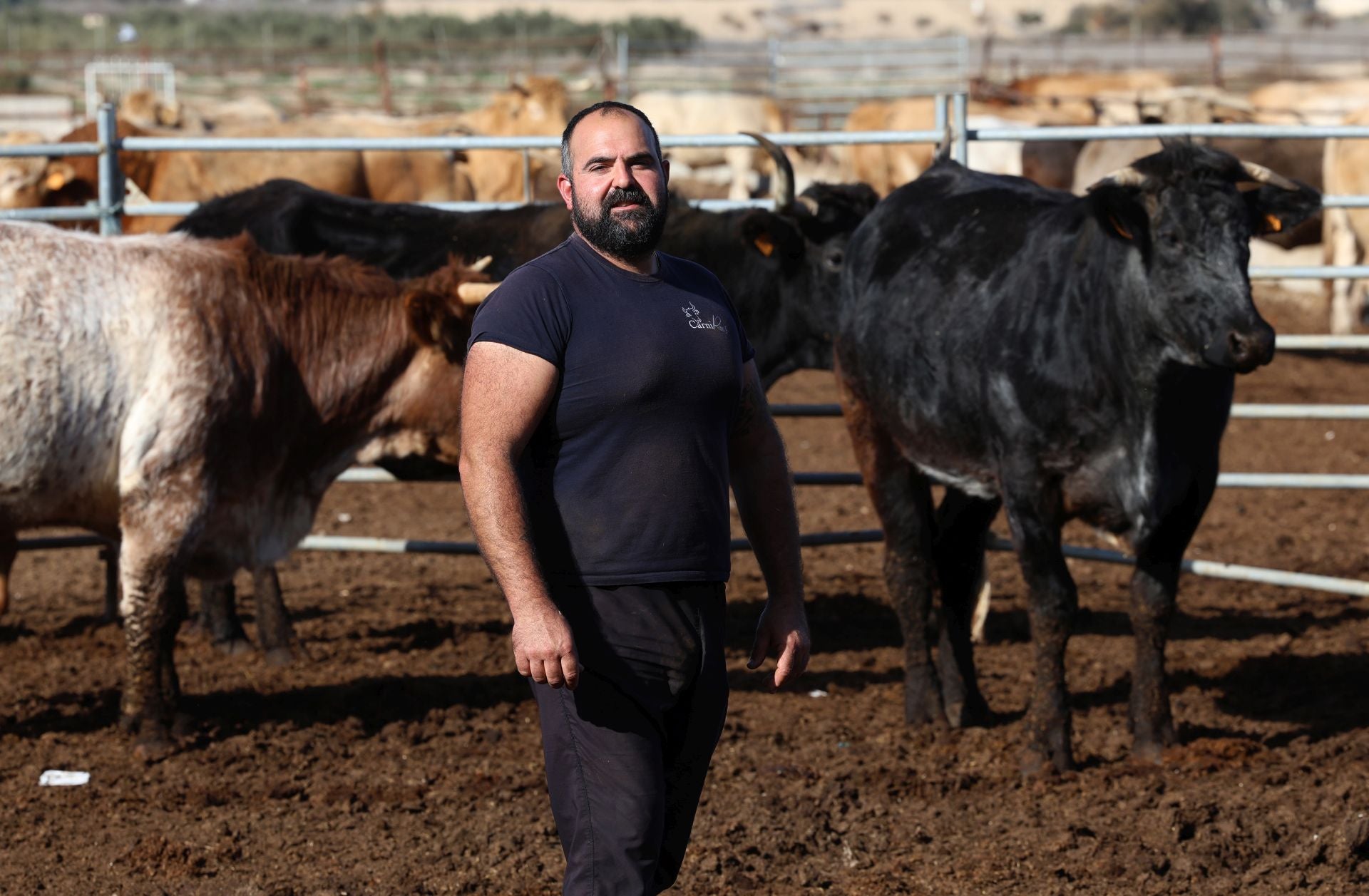 La finca de Cárnicas Ruiz en Librilla y sus &#039;angus murcianos&#039;, en imágenes