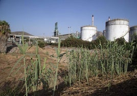 La Rambla del Charco, junto a la refinería de Repsol, en una imagen de archivo.