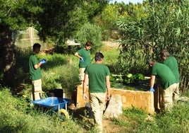 Alumnos en anteriores formaciones de la Fundación Sierra Minera.