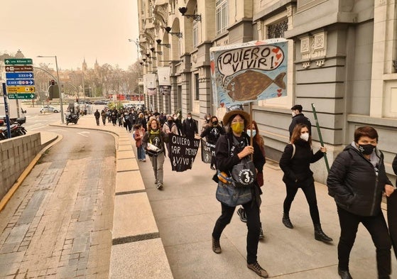 Promotores y simpatizantes de la Iniciativa Legislativa Popular del Mar Menor, en el exterior del Senado en 2022.