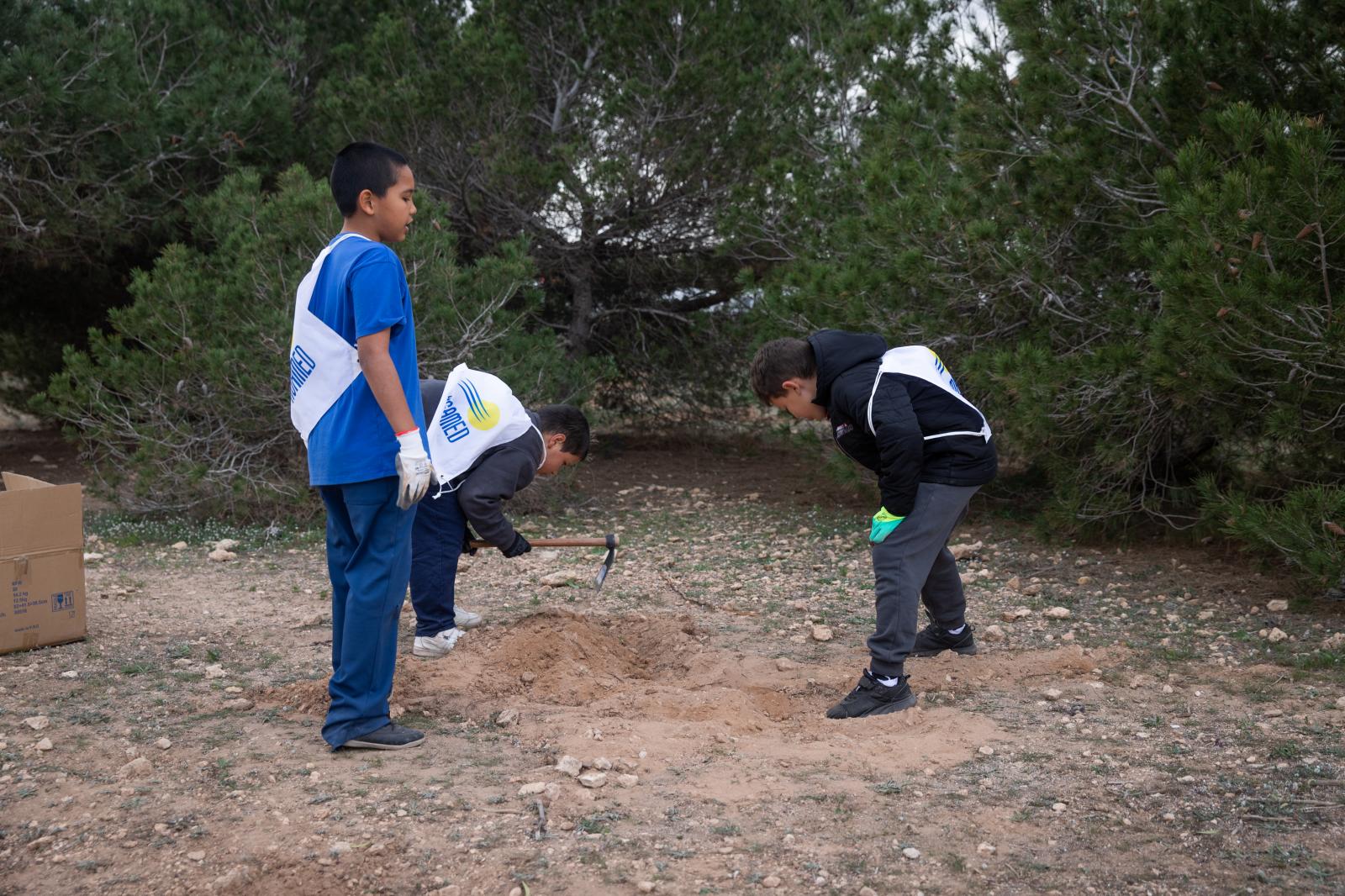Las imágenes de la jornada de plantación por el Día del Árbol en Torrevieja
