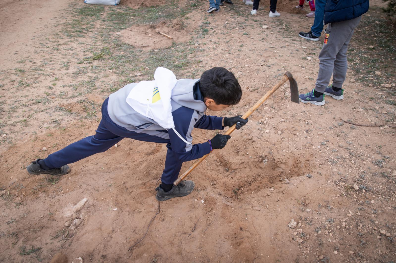 Las imágenes de la jornada de plantación por el Día del Árbol en Torrevieja