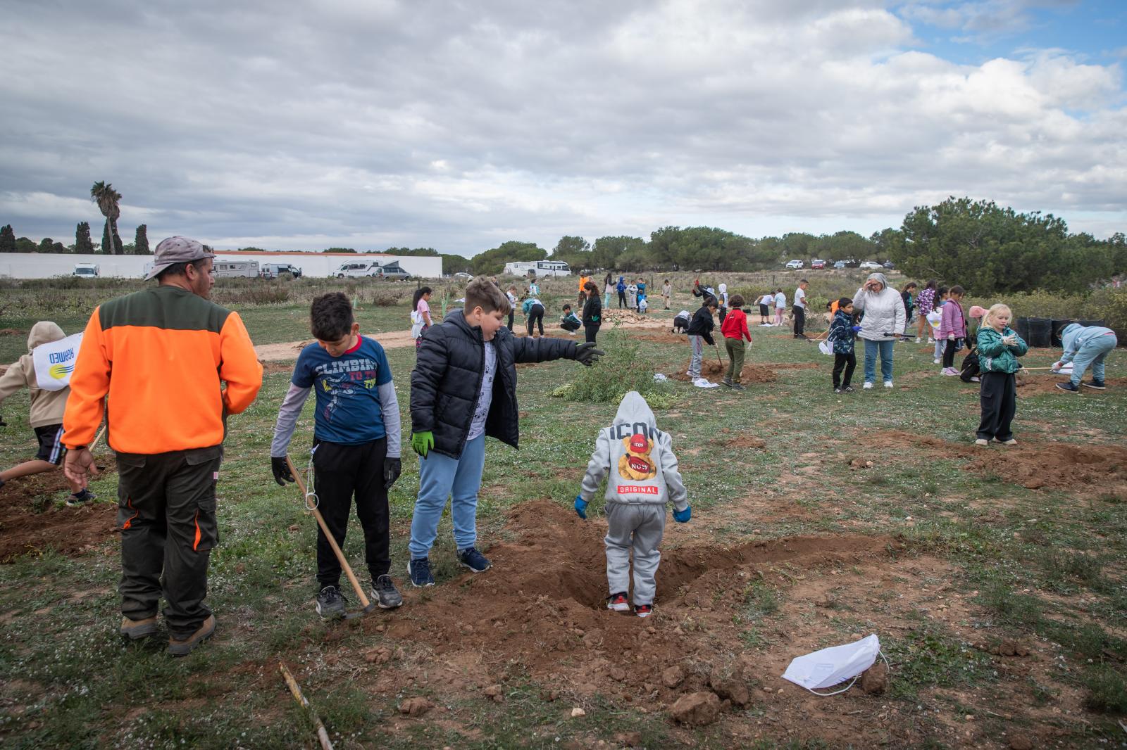 Las imágenes de la jornada de plantación por el Día del Árbol en Torrevieja