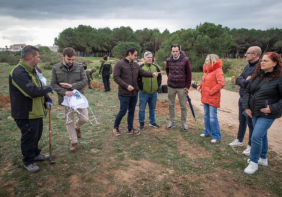 Las imágenes de la jornada de plantación por el Día del Árbol en Torrevieja
