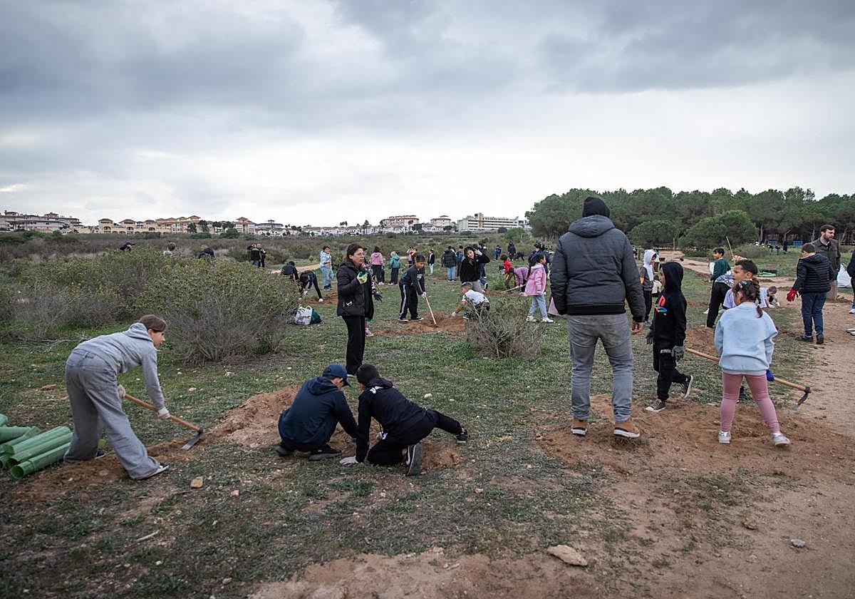 Un grupo de escolares planta árboles junto a la laguna de La Mata.
