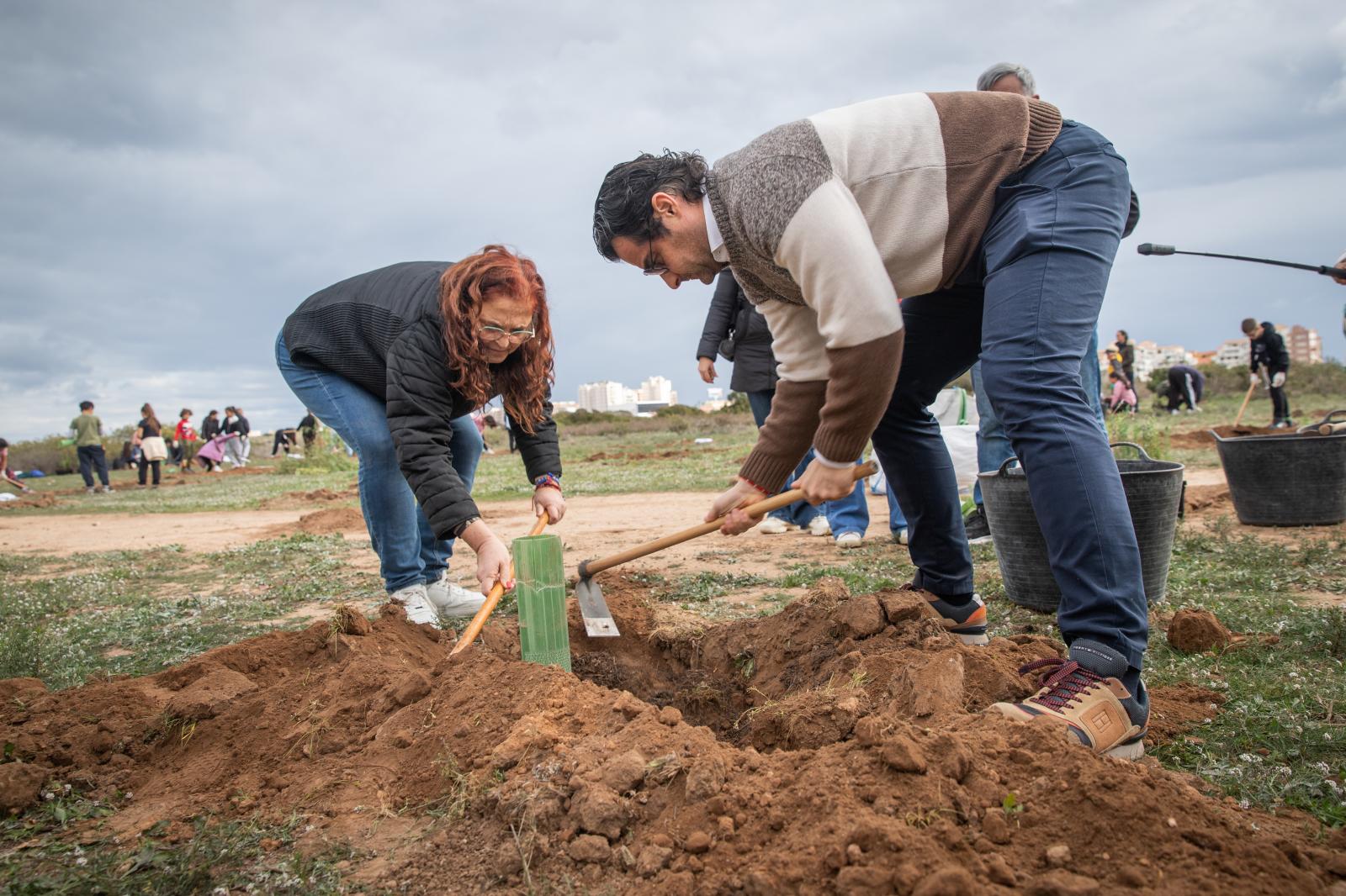 Las imágenes de la jornada de plantación por el Día del Árbol en Torrevieja
