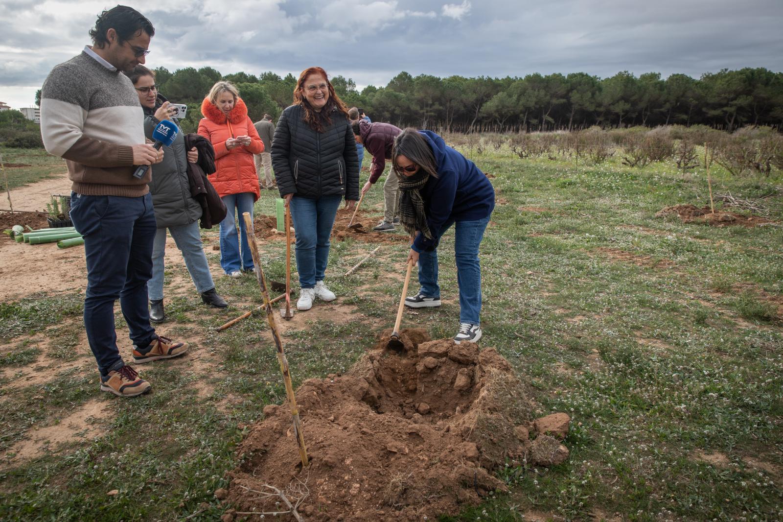 Las imágenes de la jornada de plantación por el Día del Árbol en Torrevieja