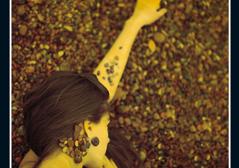 &#039;Los gatos pardos&#039; (2013)