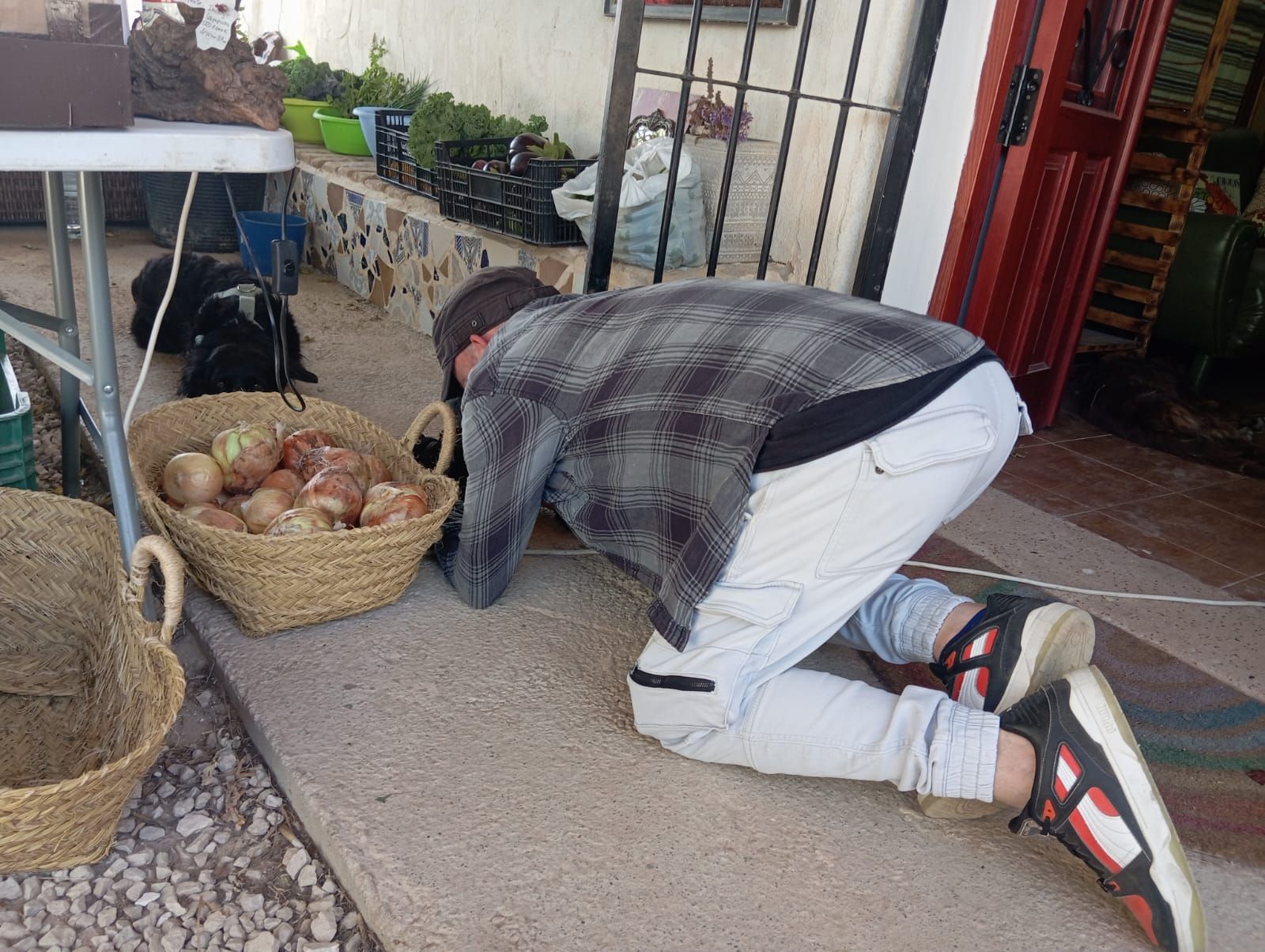 Detrás de las cámaras del documental &#039;El Mar No Cesa&#039; sobre el Mar Menor