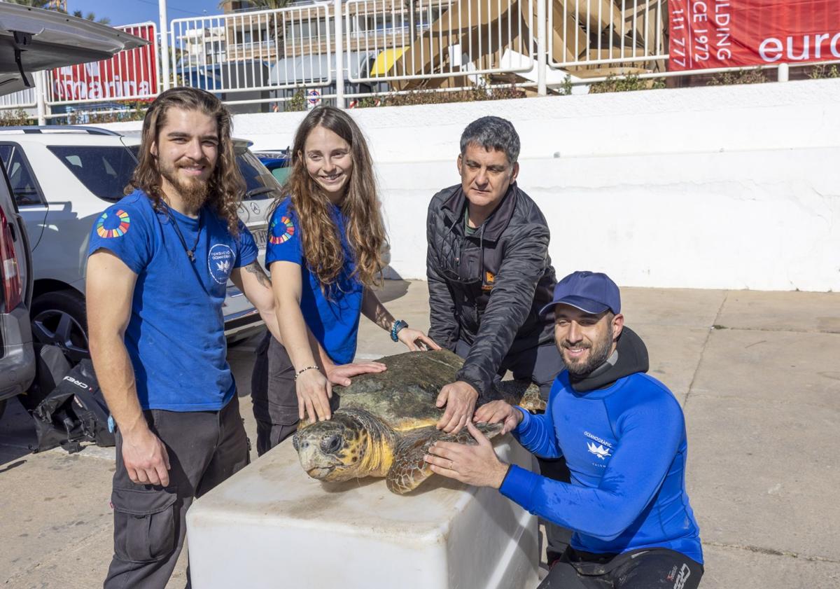 Imagen principal - Momentos del rescate de la tortuga en el puerto de Torrevieja.