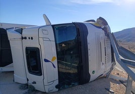 El camión volcado en la mediana de la autovía.