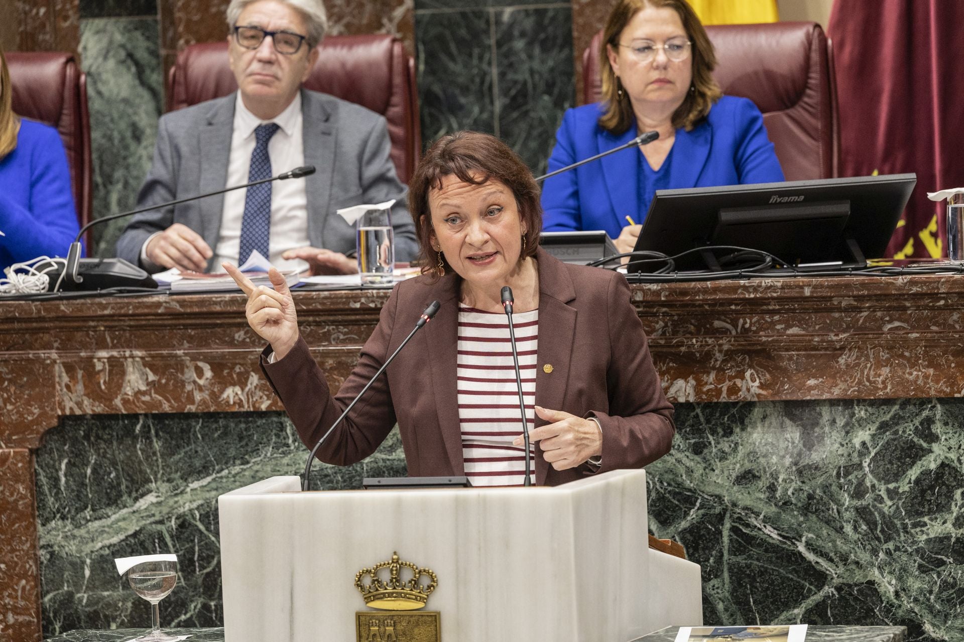 En imágenes, la Asamblea celebra el primer pleno tras su reforma