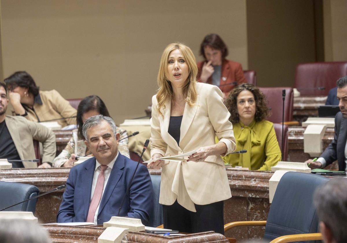 El Pleno de la Asamblea Regional de este viernes, en imágenes