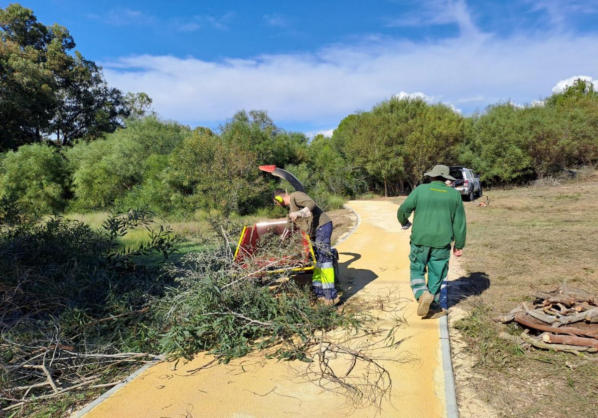 Varios miembros de la brigada, durante los trabajos de limpieza.