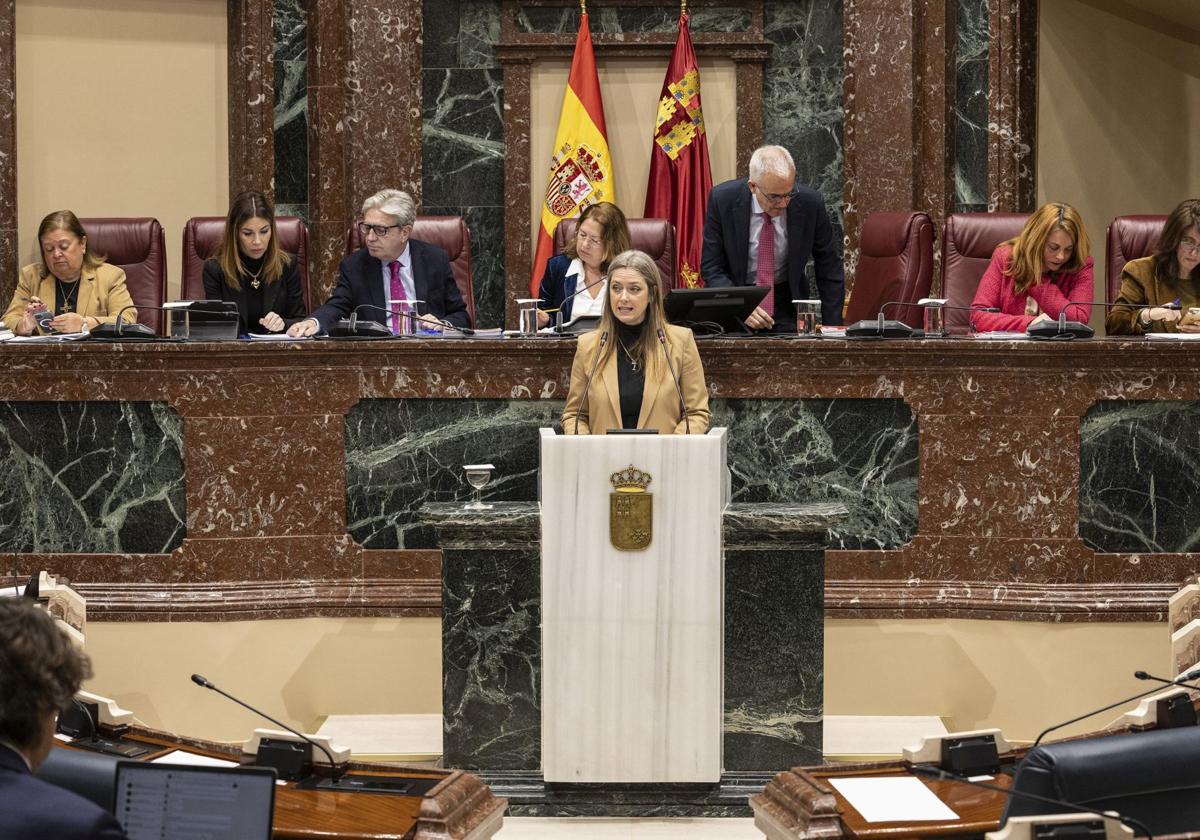 El Pleno de la Asamblea Regional de este martes, en imágenes