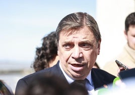 El ministro de Agricultura, Pesca y Alimentación, Luis Planas.