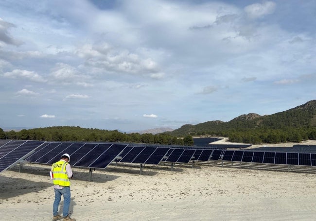 Un operario de BNZ en la planta solar operativa en Moratalla.