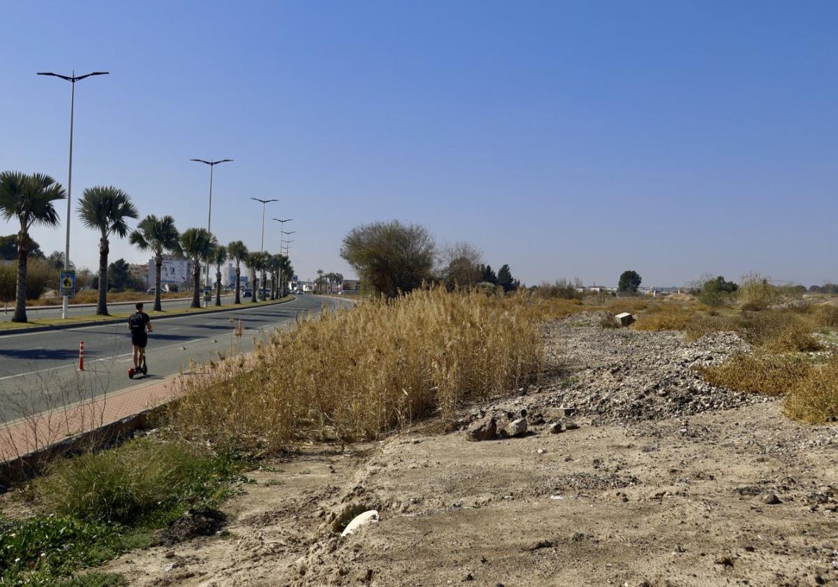 Aspecto de los terrenos donde deben asentarse los primeros campos de entrenamiento de la ciudad deportiva del Real Murcia que estará enclavada junto a la avendida Juan de Borbón.