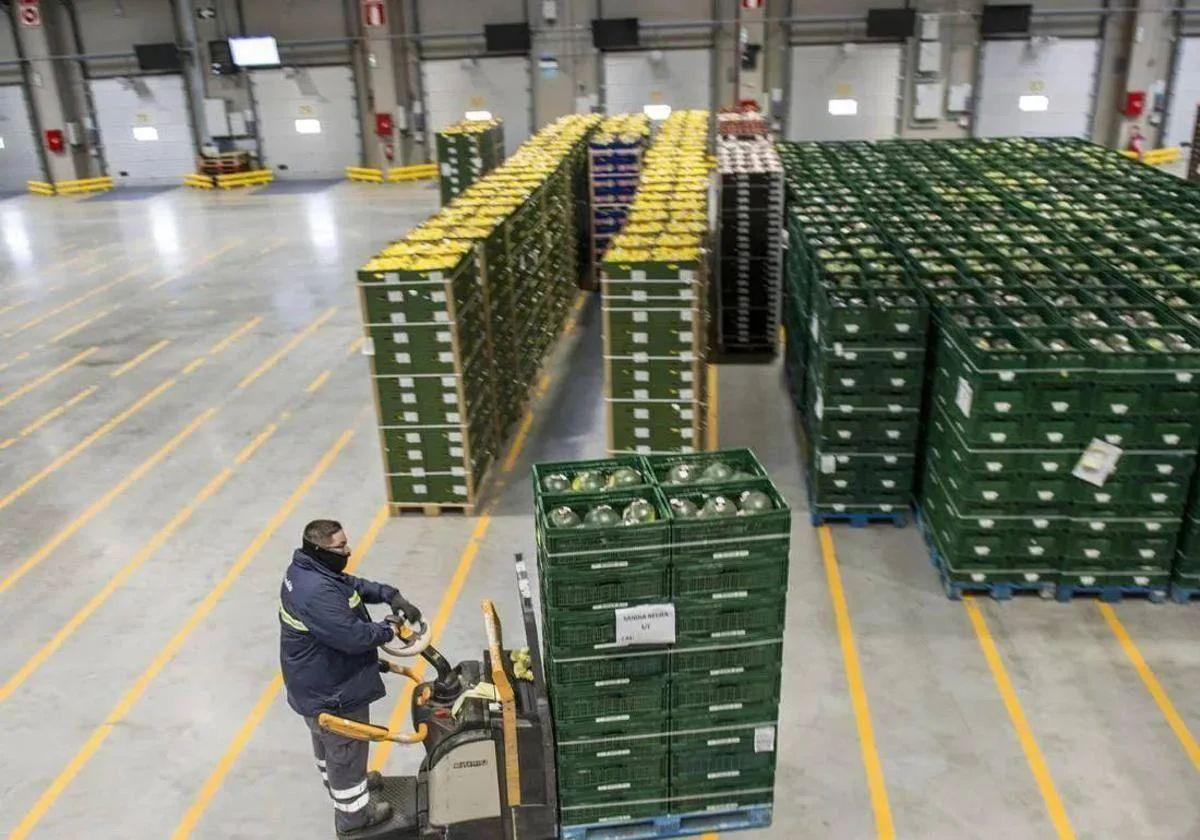 Imagen de archivo de frutas y hortalizas preparadas para su exportación.