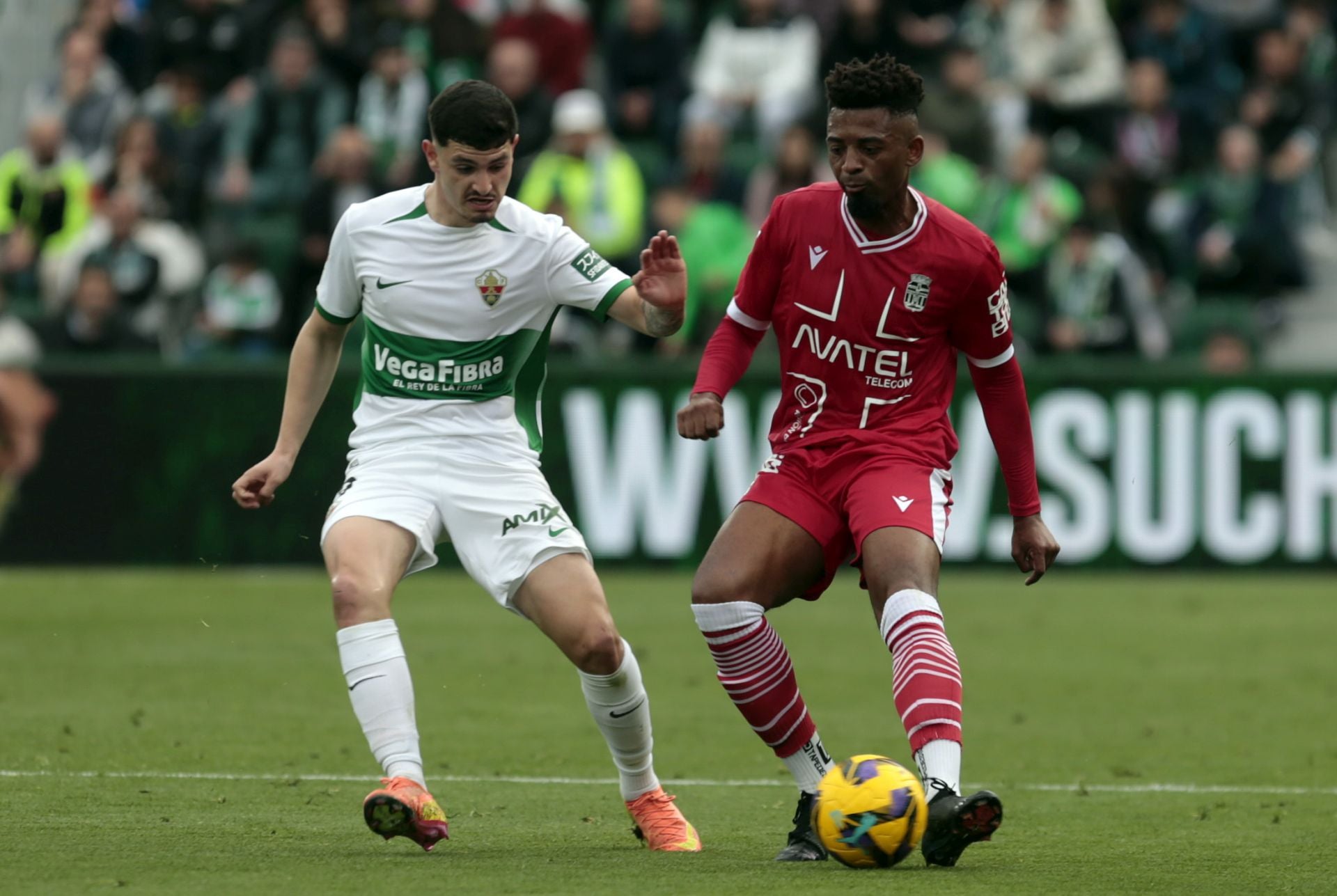 La derrota del Cartagena frente al Elche, en imágenes