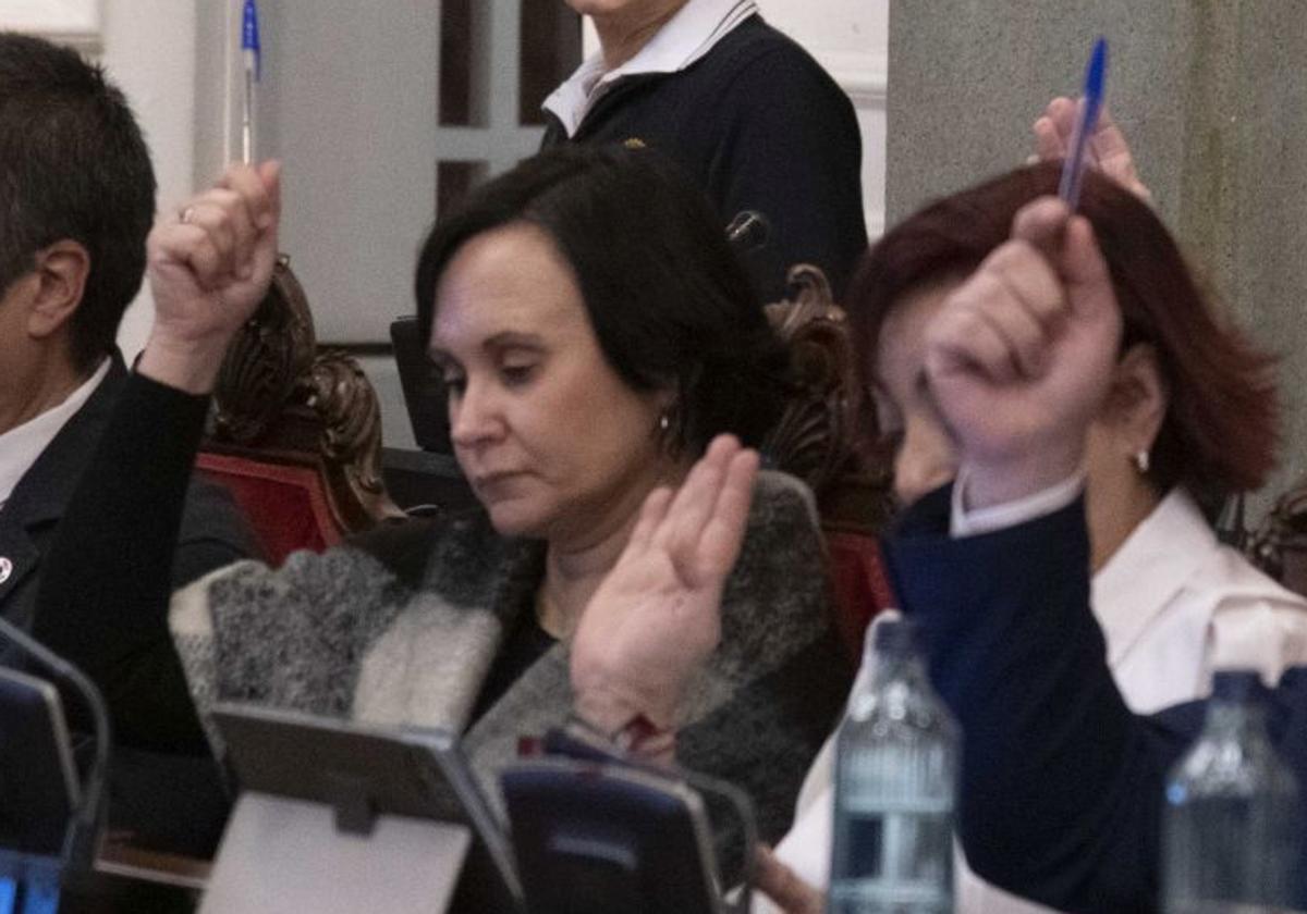 María Dolores Ruiz durante un pleno en una imagen de archivol.