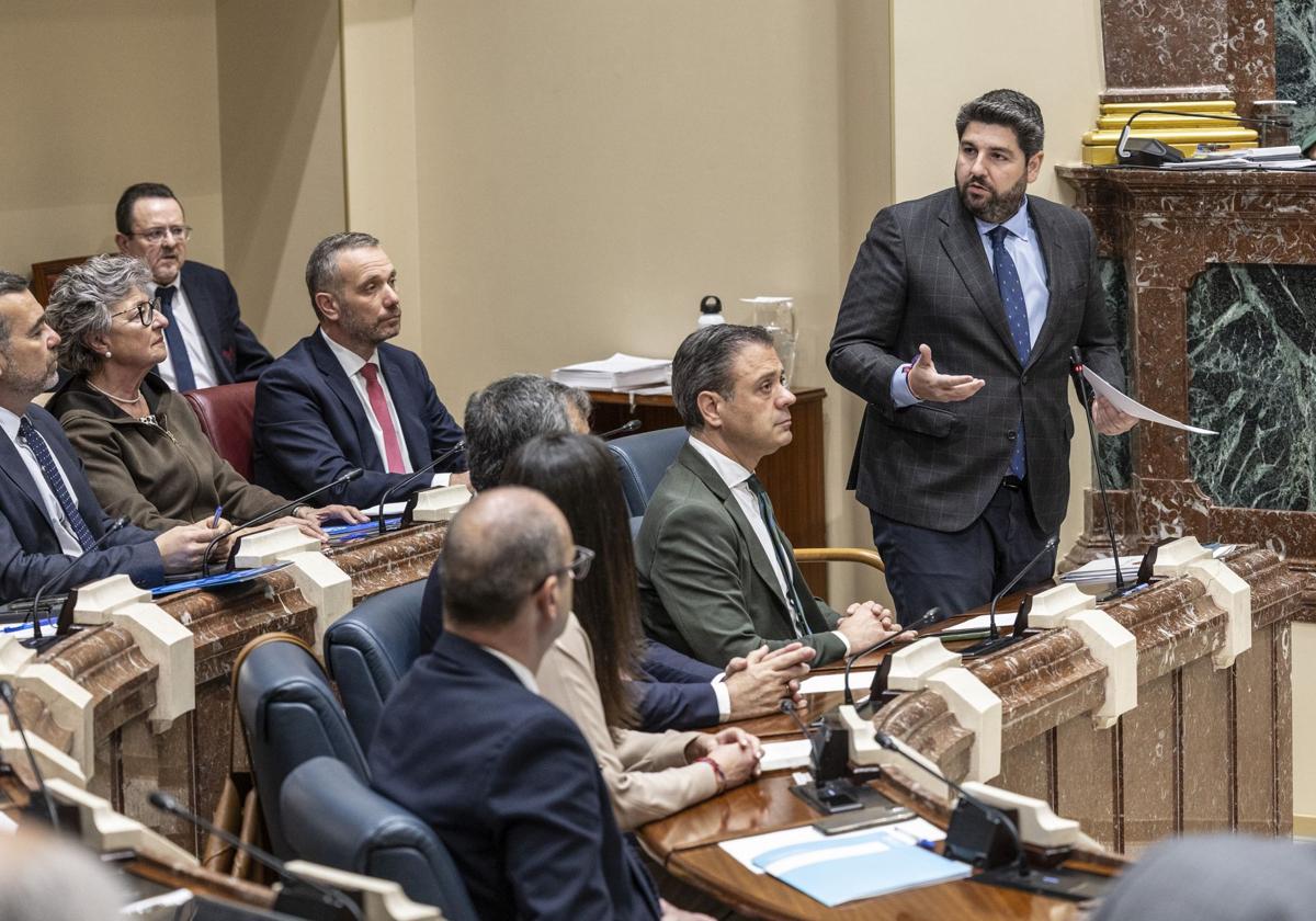 El Pleno de la Asamblea, en imágenes